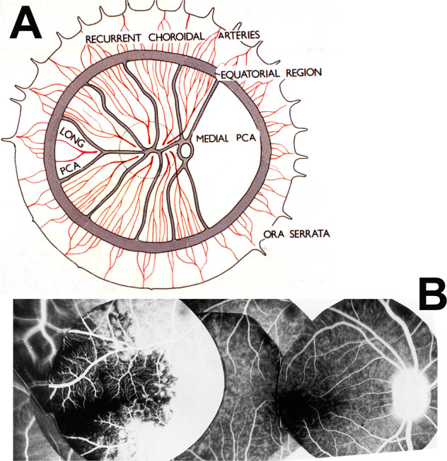 Fig. 16