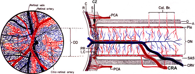 Fig. 7