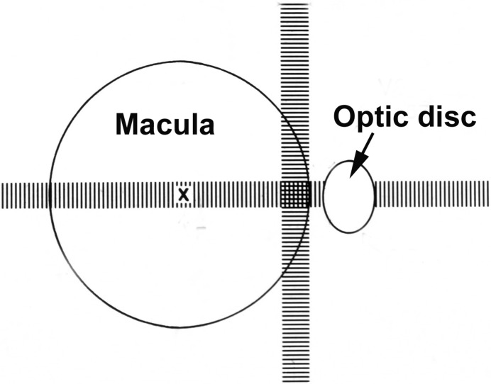 Fig. 18