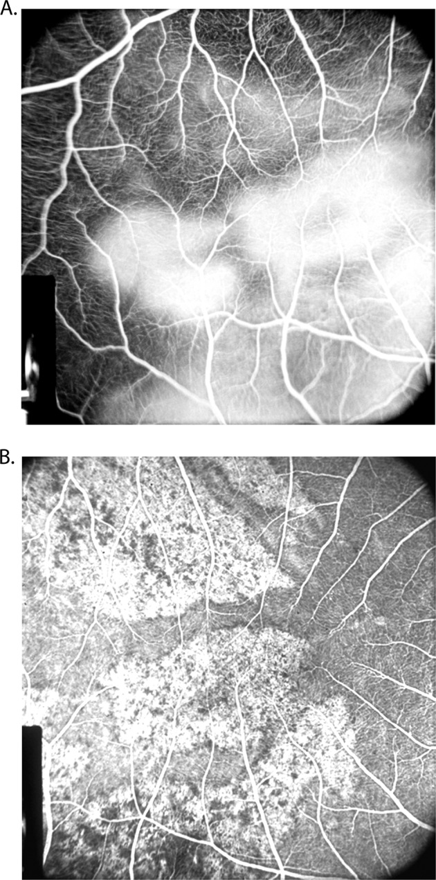 Fig. 5