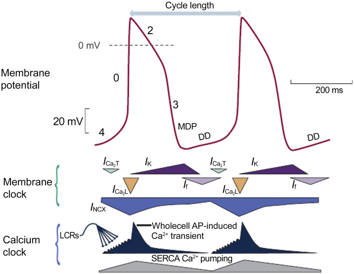 Figure 3.