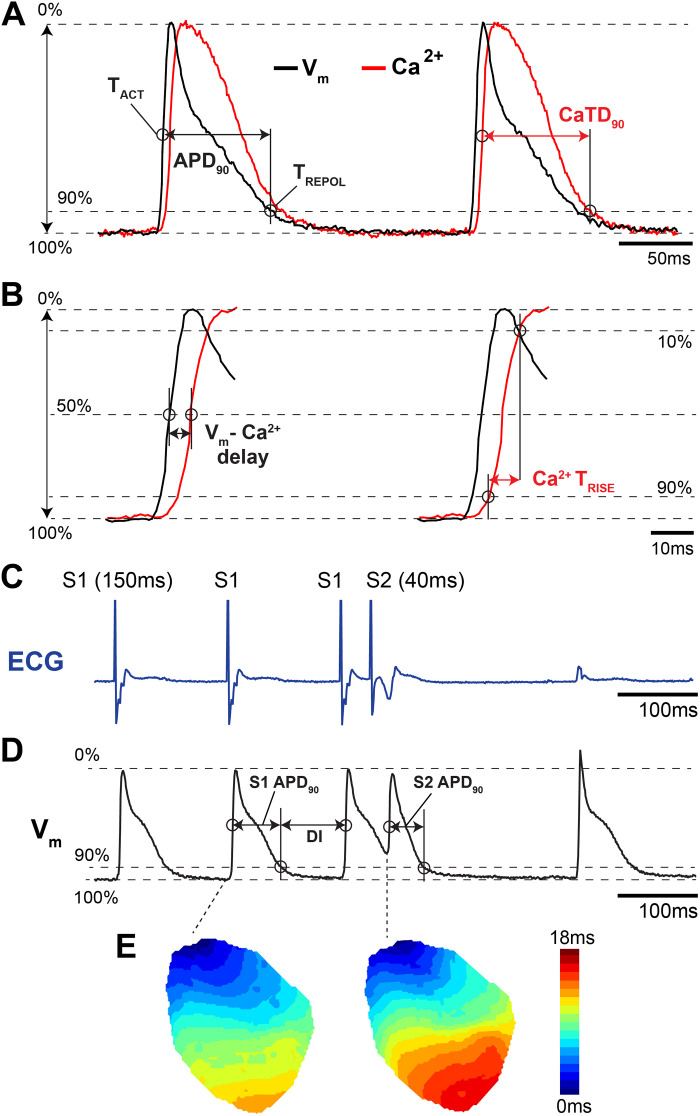 Figure 4.