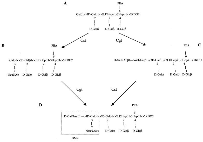 FIG. 7