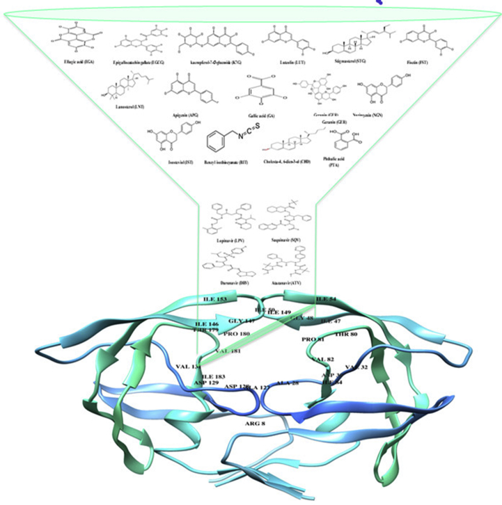 Fig. 1