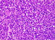 Fig. 10