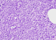 Fig. 8