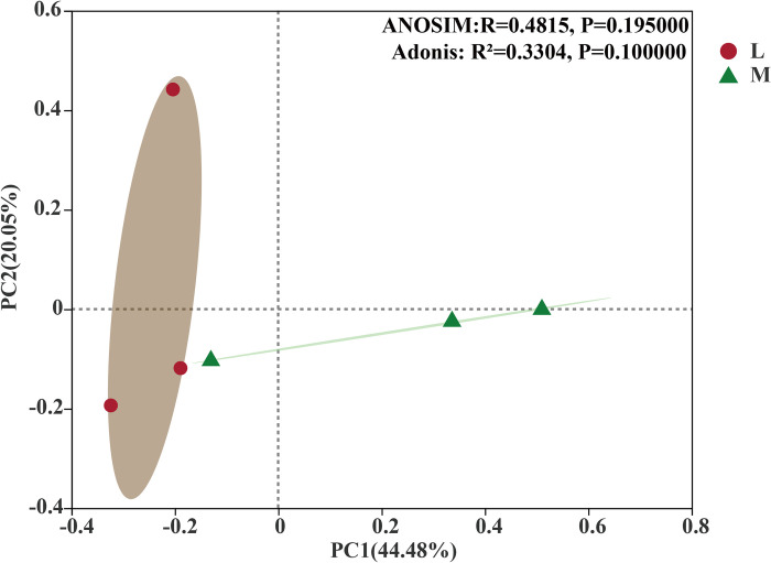 Fig 12