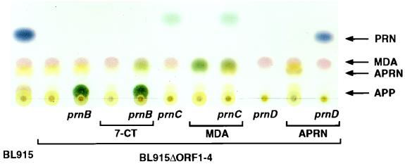 FIG. 4