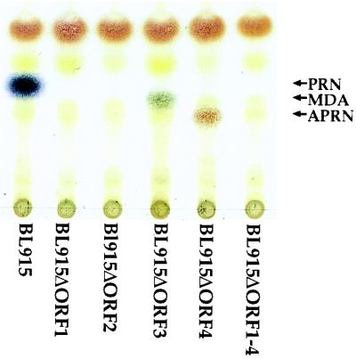 FIG. 3