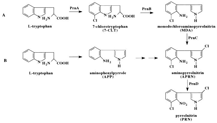 FIG. 1