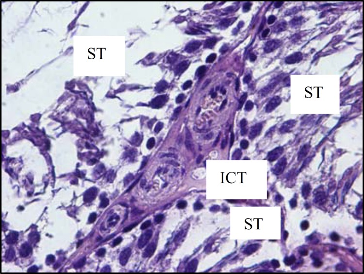 Figure6