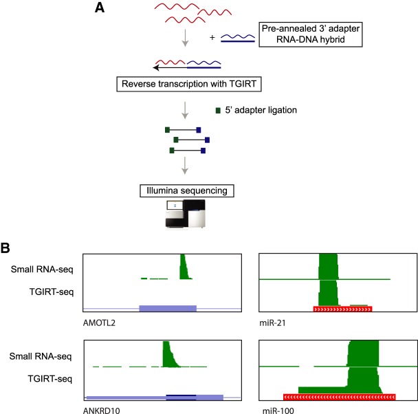 FIGURE 6.