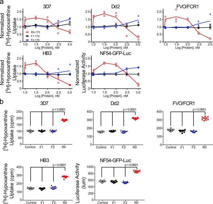 Figure 3—figure supplement 1.