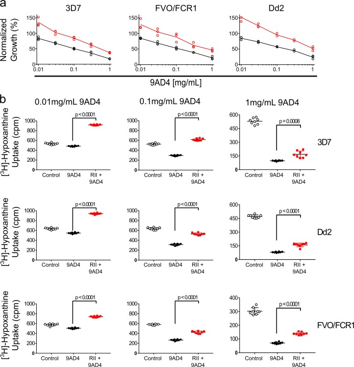 Figure 4—figure supplement 1.