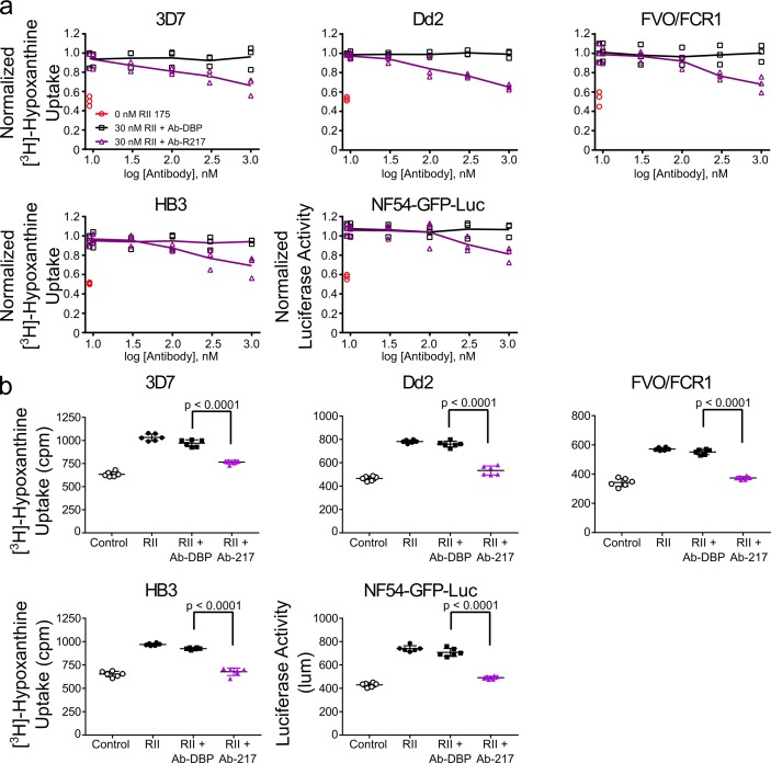 Figure 3—figure supplement 2.