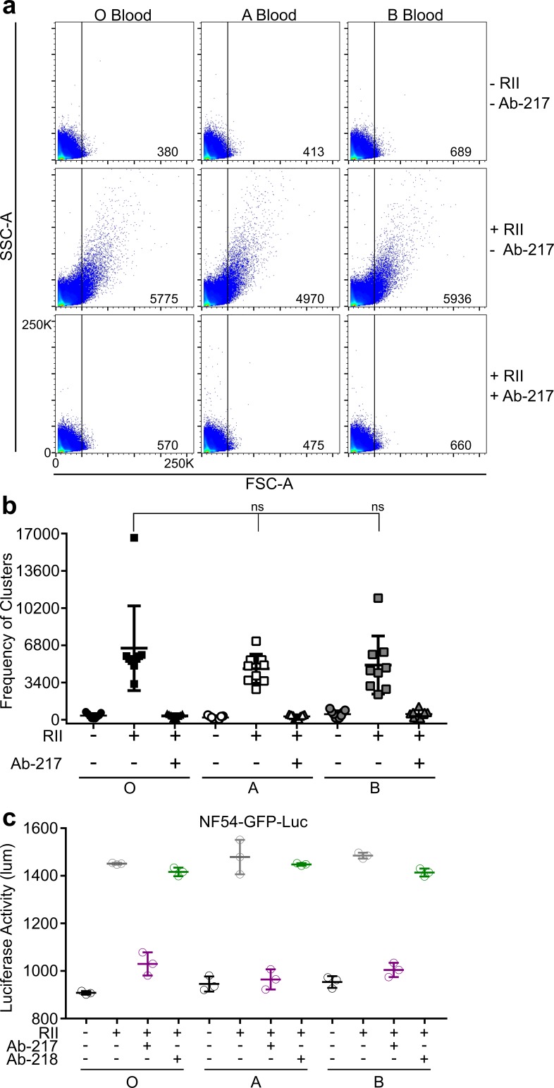 Figure 2—figure supplement 1.