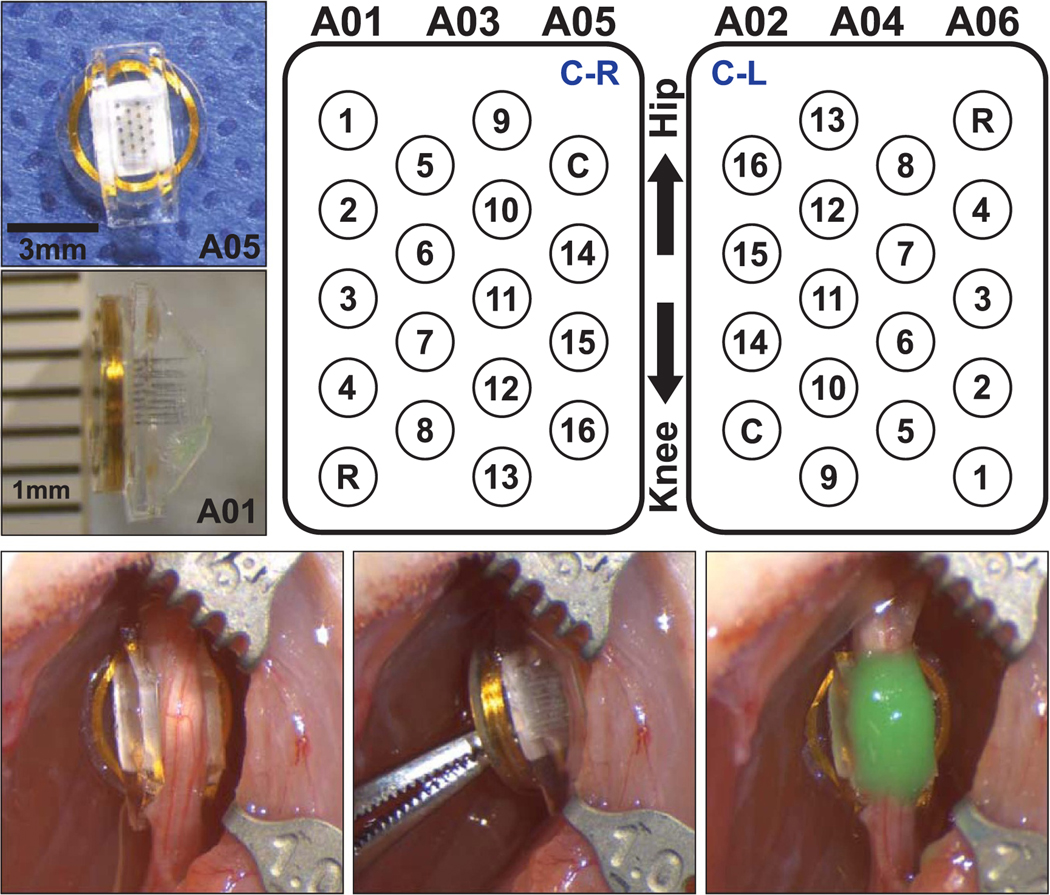 Figure 1.