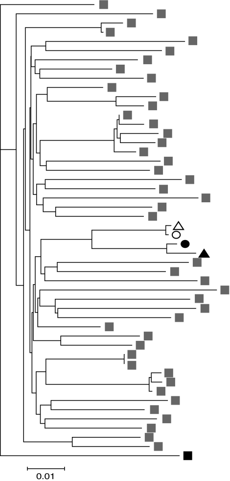 FIG. 3.