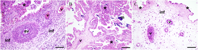 Fig. 2