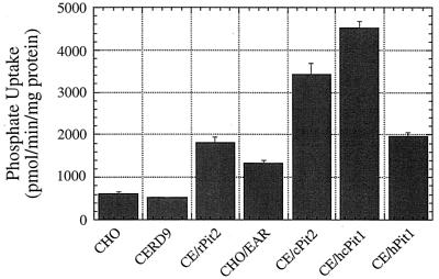 FIG. 1