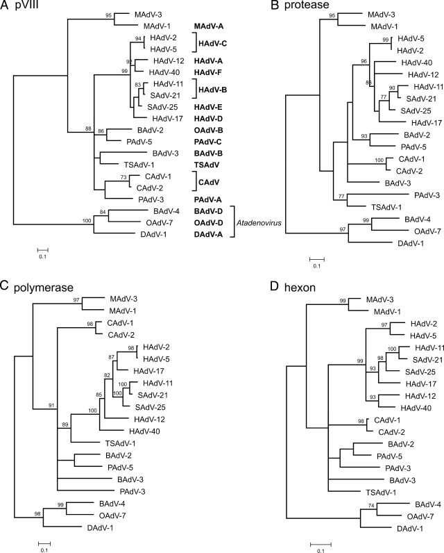 FIG. 4.