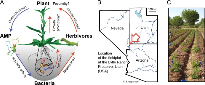 Figure 1.