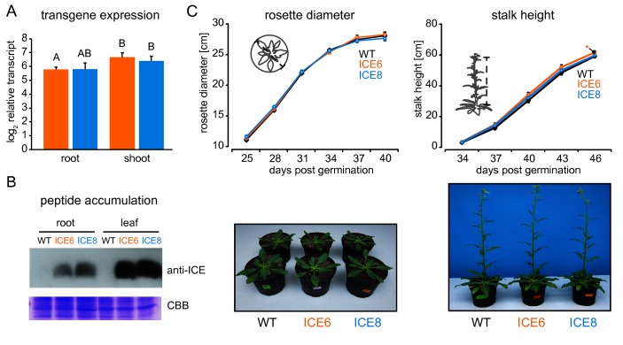 Figure 2—figure supplement 3.