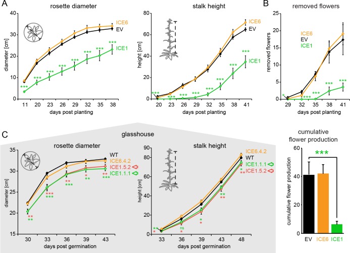 Figure 4—figure supplement 1.