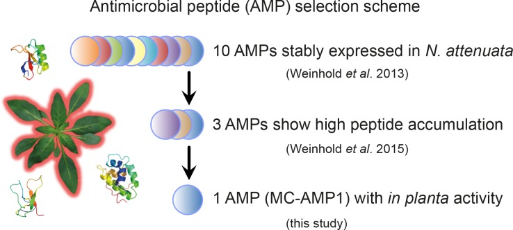 Figure 1—figure supplement 1.