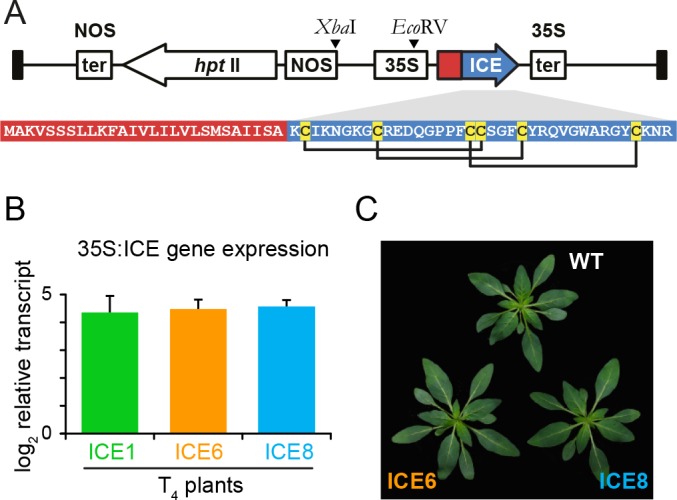 Figure 2.