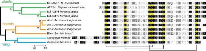 Figure 2—figure supplement 1.