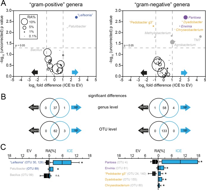 Figure 6—figure supplement 3.