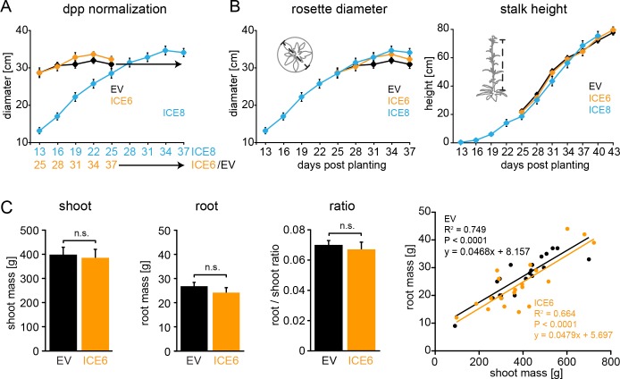 Figure 4—figure supplement 2.