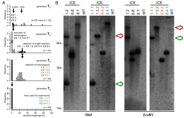 Figure 2—figure supplement 2.