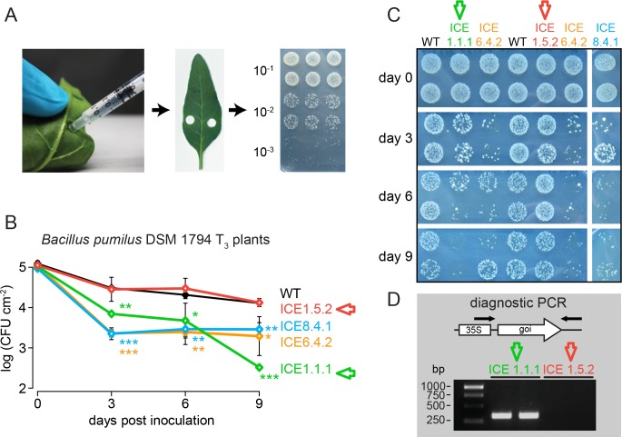 Figure 3—figure supplement 1.