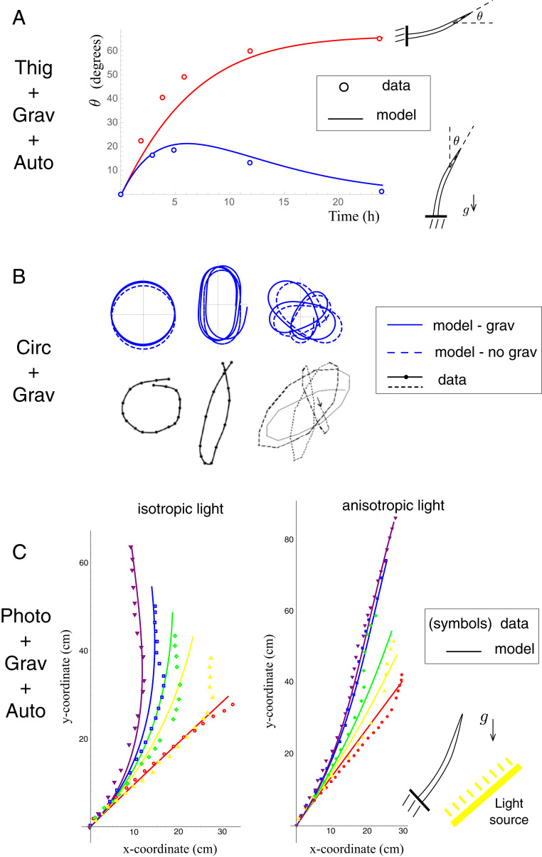 Fig. 9.