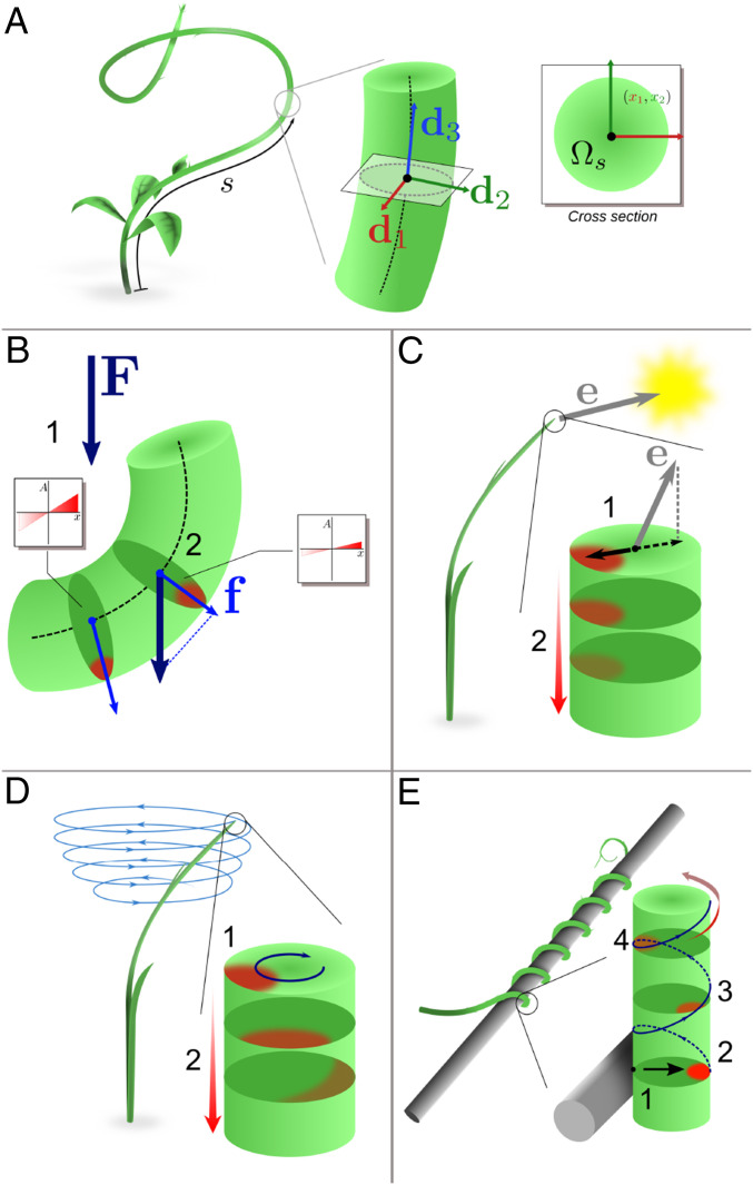 Fig. 3.