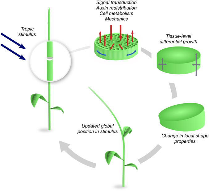 Fig. 2.