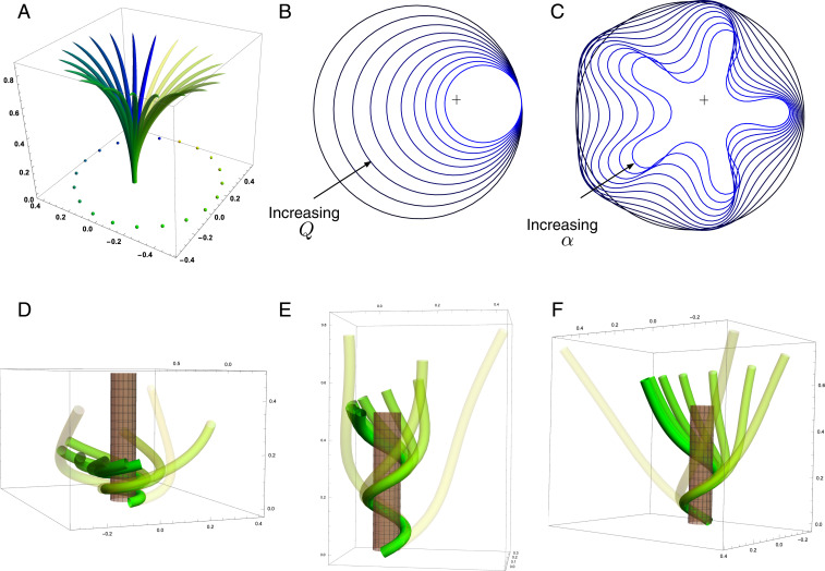 Fig. 8.