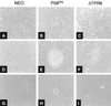 FIG. 6