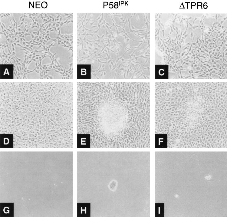 FIG. 6