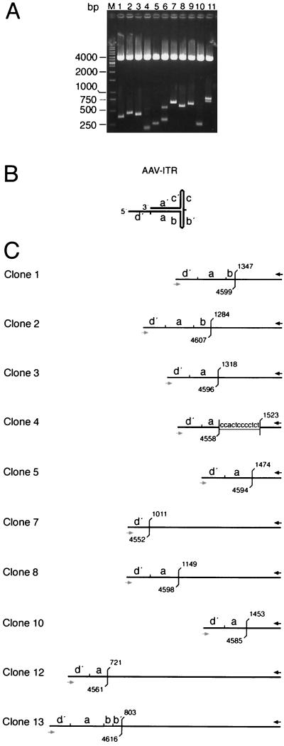 FIG. 3.