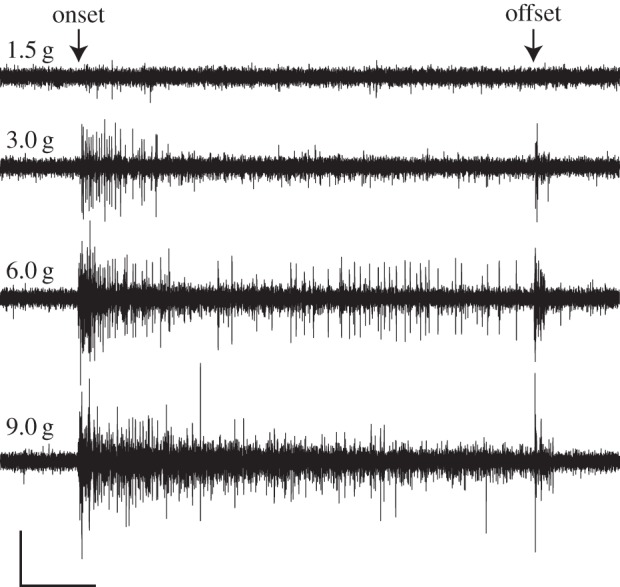 Figure 4.