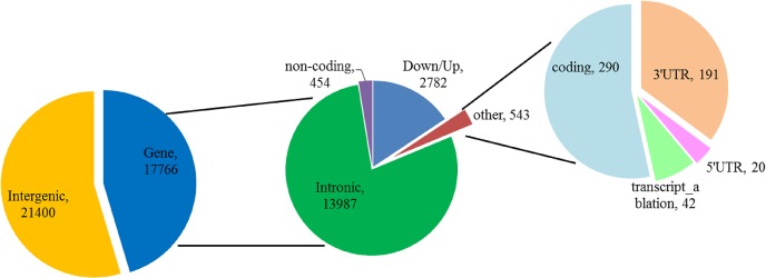 Fig 7