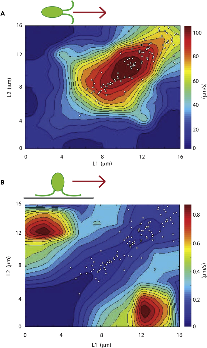 Figure 6