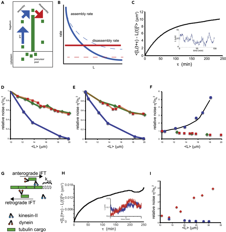 Figure 5