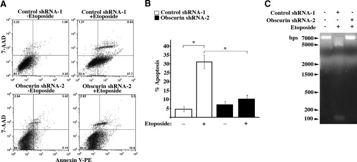 Figure 7.