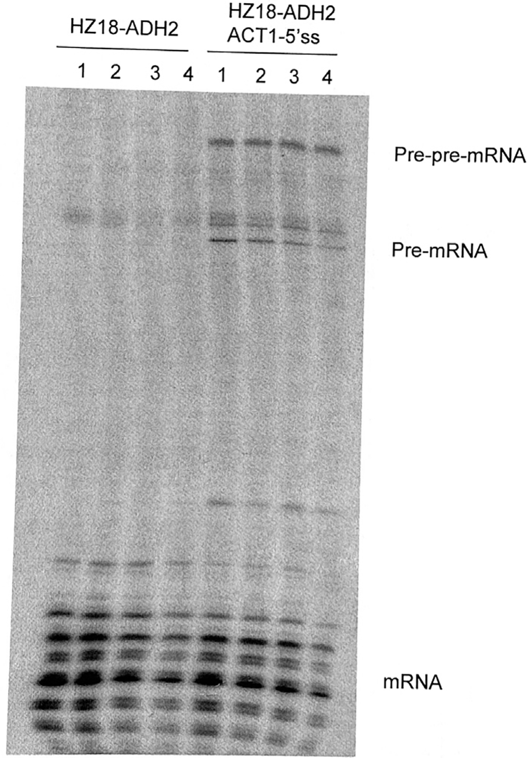 Figure 3A.