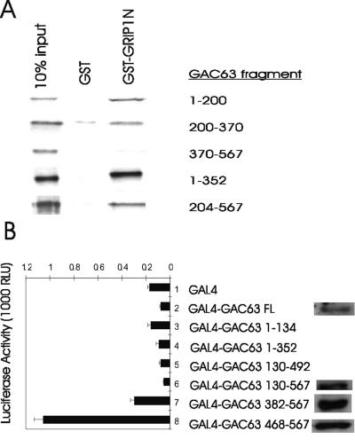 FIG. 6.