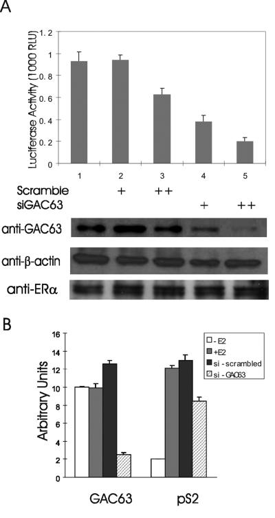 FIG. 8.